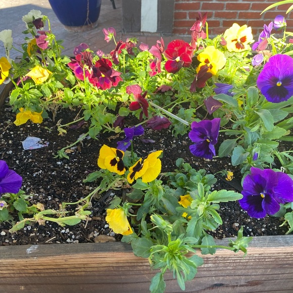 Meet your Posher, Breanna - Picture 1 of 1